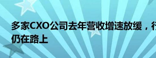 多家CXO公司去年营收增速放缓，行业回暖仍在路上