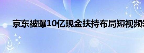 京东被曝10亿现金扶持布局短视频领域