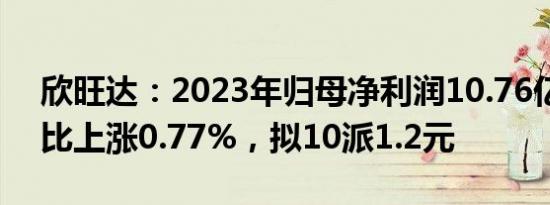 欣旺达：2023年归母净利润10.76亿元，同比上涨0.77%，拟10派1.2元