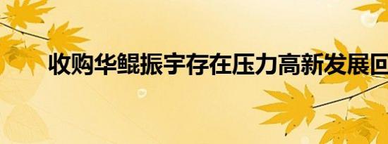 收购华鲲振宇存在压力高新发展回应