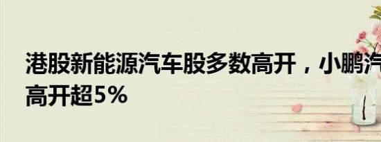 港股新能源汽车股多数高开，小鹏汽车 蔚来高开超5%