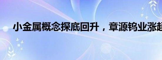 小金属概念探底回升，章源钨业涨超6%