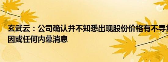 玄武云：公司确认并不知悉出现股份价格有不寻常变动的原因或任何内幕消息