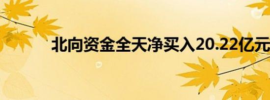 北向资金全天净买入20.22亿元