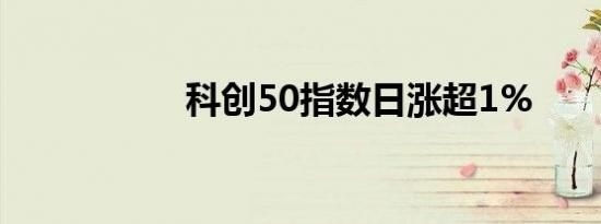 科创50指数日涨超1%