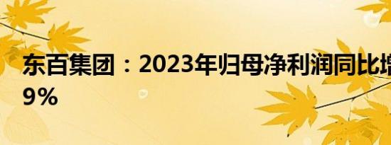 东百集团：2023年归母净利润同比增长60.89%