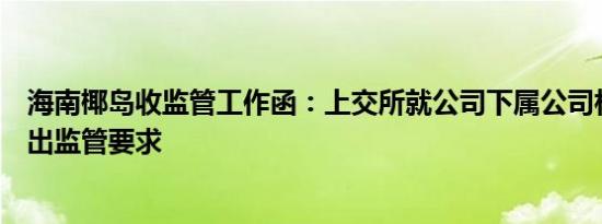 海南椰岛收监管工作函：上交所就公司下属公司相关事项提出监管要求