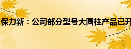 保力新：公司部分型号大圆柱产品已开始试产