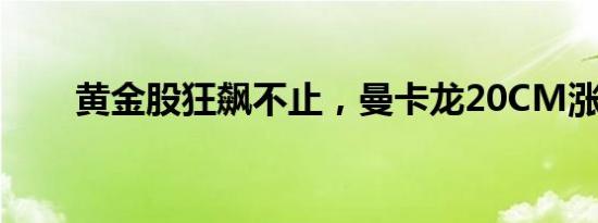 黄金股狂飙不止，曼卡龙20CM涨停