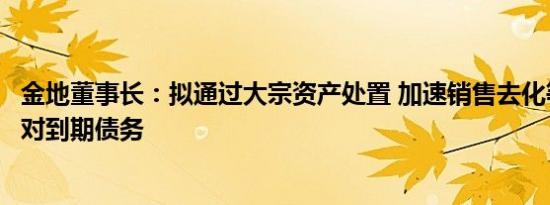 金地董事长：拟通过大宗资产处置 加速销售去化等方式，应对到期债务