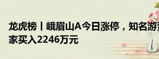 龙虎榜丨峨眉山A今日涨停，知名游资炒股养家买入2246万元