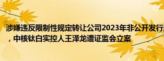 涉嫌违反限制性规定转让公司2023年非公开发行股票等违规，中核钛白实控人王泽龙遭证监会立案