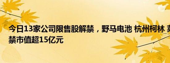 今日13家公司限售股解禁，野马电池 杭州柯林 莱尔科技解禁市值超15亿元