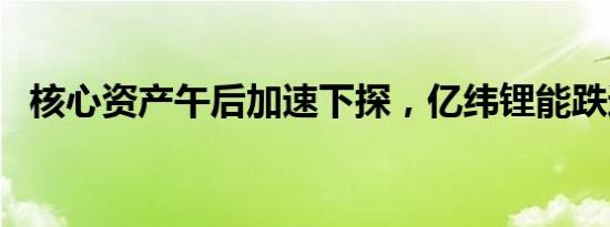 核心资产午后加速下探，亿纬锂能跌近5%