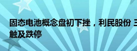 固态电池概念盘初下挫，利民股份 三祥新材触及跌停