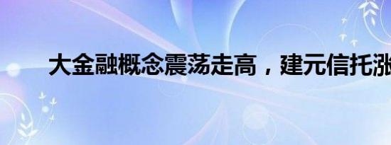 大金融概念震荡走高，建元信托涨停