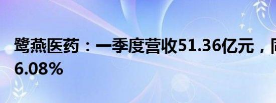 鹭燕医药：一季度营收51.36亿元，同比增长6.08%