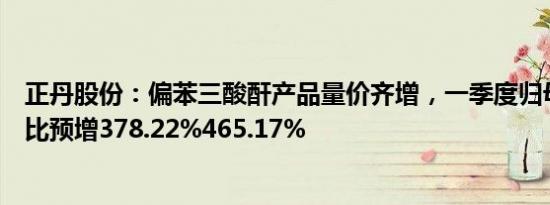 正丹股份：偏苯三酸酐产品量价齐增，一季度归母净利润同比预增378.22%465.17%