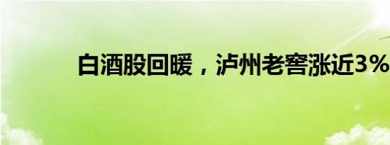 白酒股回暖，泸州老窖涨近3%