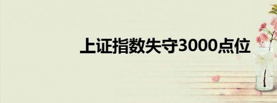 上证指数失守3000点位