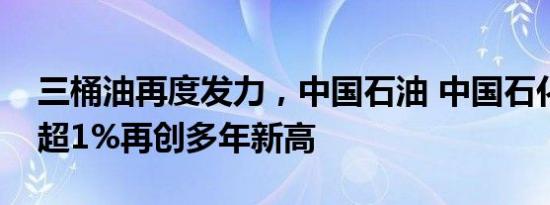 三桶油再度发力，中国石油 中国石化双双涨超1%再创多年新高