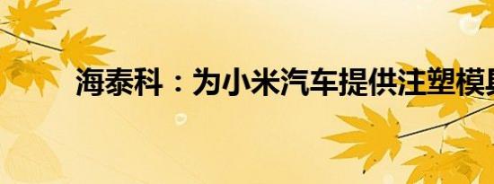 海泰科：为小米汽车提供注塑模具