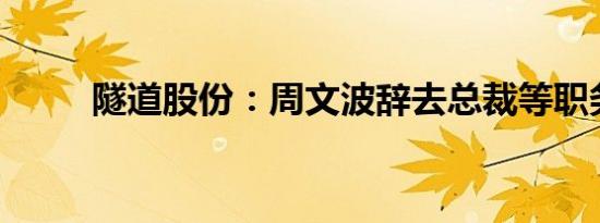 隧道股份：周文波辞去总裁等职务