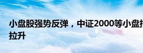 小盘股强势反弹，中证2000等小盘指数快速拉升