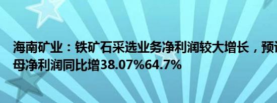 海南矿业：铁矿石采选业务净利润较大增长，预计一季度归母净利润同比增38.07%64.7%