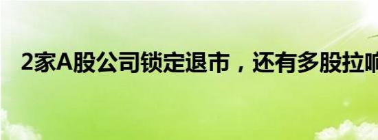 2家A股公司锁定退市，还有多股拉响警报