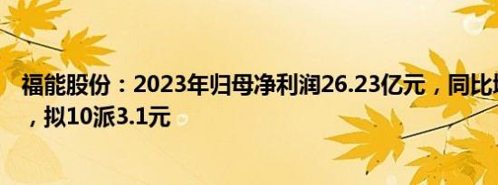 福能股份：2023年归母净利润26.23亿元，同比增加1.11%，拟10派3.1元