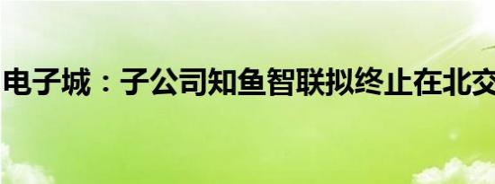 电子城：子公司知鱼智联拟终止在北交所上市