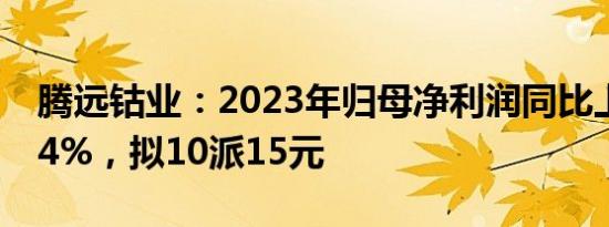 腾远钴业：2023年归母净利润同比上涨37.74%，拟10派15元