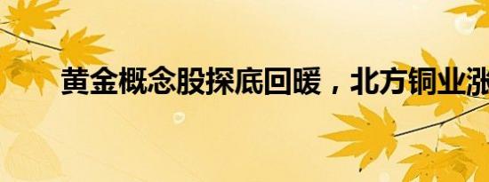 黄金概念股探底回暖，北方铜业涨停