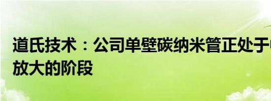 道氏技术：公司单壁碳纳米管正处于中试规模放大的阶段