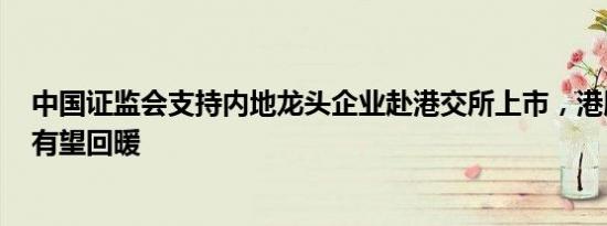 中国证监会支持内地龙头企业赴港交所上市，港股IPO市场有望回暖