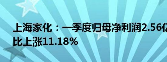 上海家化：一季度归母净利润2.56亿元，同比上涨11.18%