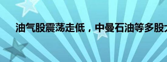 油气股震荡走低，中曼石油等多股大跌