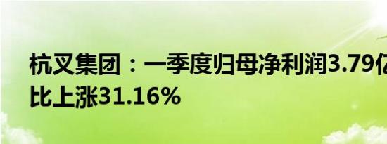 杭叉集团：一季度归母净利润3.79亿元，同比上涨31.16%