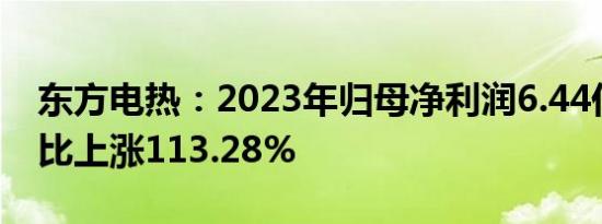 东方电热：2023年归母净利润6.44亿元，同比上涨113.28%