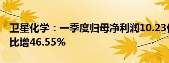 卫星化学：一季度归母净利润10.23亿元，同比增46.55%