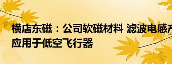 横店东磁：公司软磁材料 滤波电感产品已有应用于低空飞行器