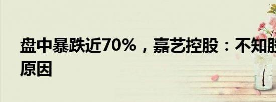 盘中暴跌近70%，嘉艺控股：不知股价异动原因