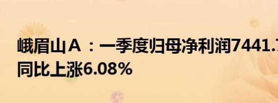 峨眉山Ａ：一季度归母净利润7441.78万元，同比上涨6.08%