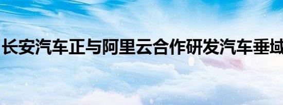 长安汽车正与阿里云合作研发汽车垂域大模型