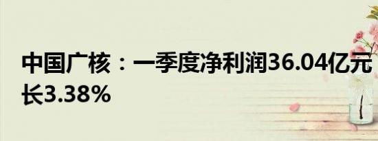 中国广核：一季度净利润36.04亿元，同比增长3.38%