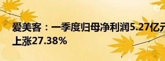 爱美客：一季度归母净利润5.27亿元，同比上涨27.38%