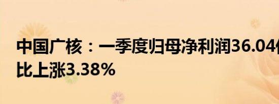 中国广核：一季度归母净利润36.04亿元，同比上涨3.38%