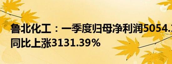 鲁北化工：一季度归母净利润5054.14万元，同比上涨3131.39%