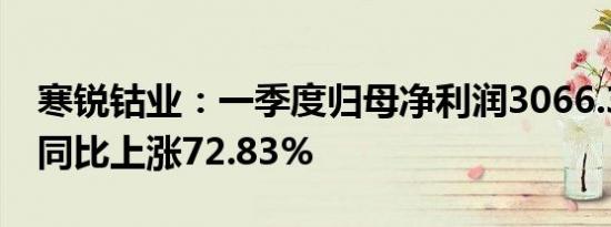 寒锐钴业：一季度归母净利润3066.34万元，同比上涨72.83%